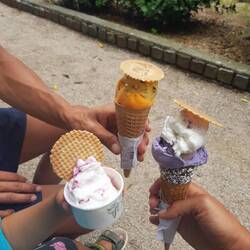 Passionsfrucht/Melone ~ Joghurt ~ Lavendel/Cheesecake