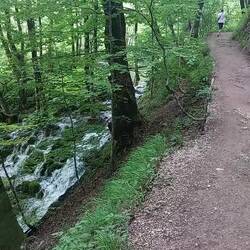 Just before it started to rain