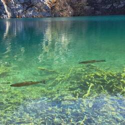 The water was so clear and inviting, but swimming is forbidden