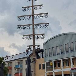 Der Wappenmaibaum auf dem Marktplatz