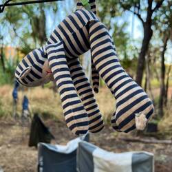 "Affi" haben wir in Broome gefunden...