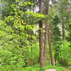 öffentliche toiletten häuschen