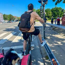 An den meisten Ampeln gab es für Fahrräder so Haltestangen zum abstützen.🚲