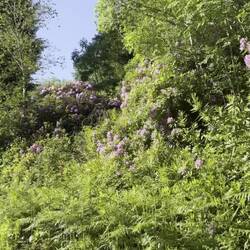 Auf dem Weg zum Stellplatz