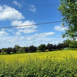 Auf dem Weg zum "Rock of Cashel"