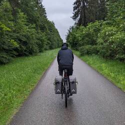 Raus aus der Stadt. Bolzengerade durch die Wälder. Windschatten ist angesagt 🚴🚴