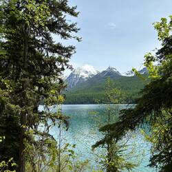 Hiking Bowman Lake Trail
