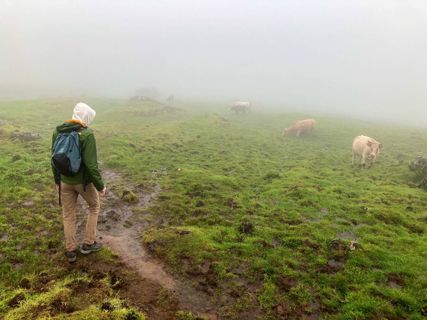 In het begin veel mist