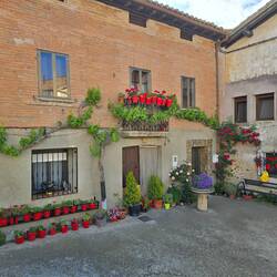 Can you spot the cat?