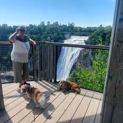 Chute Montmorency