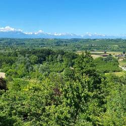 Our lunchtime view