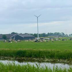 Bauern haben ihre eigene Windränder