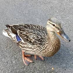 Was very interested in seeing what I was eating