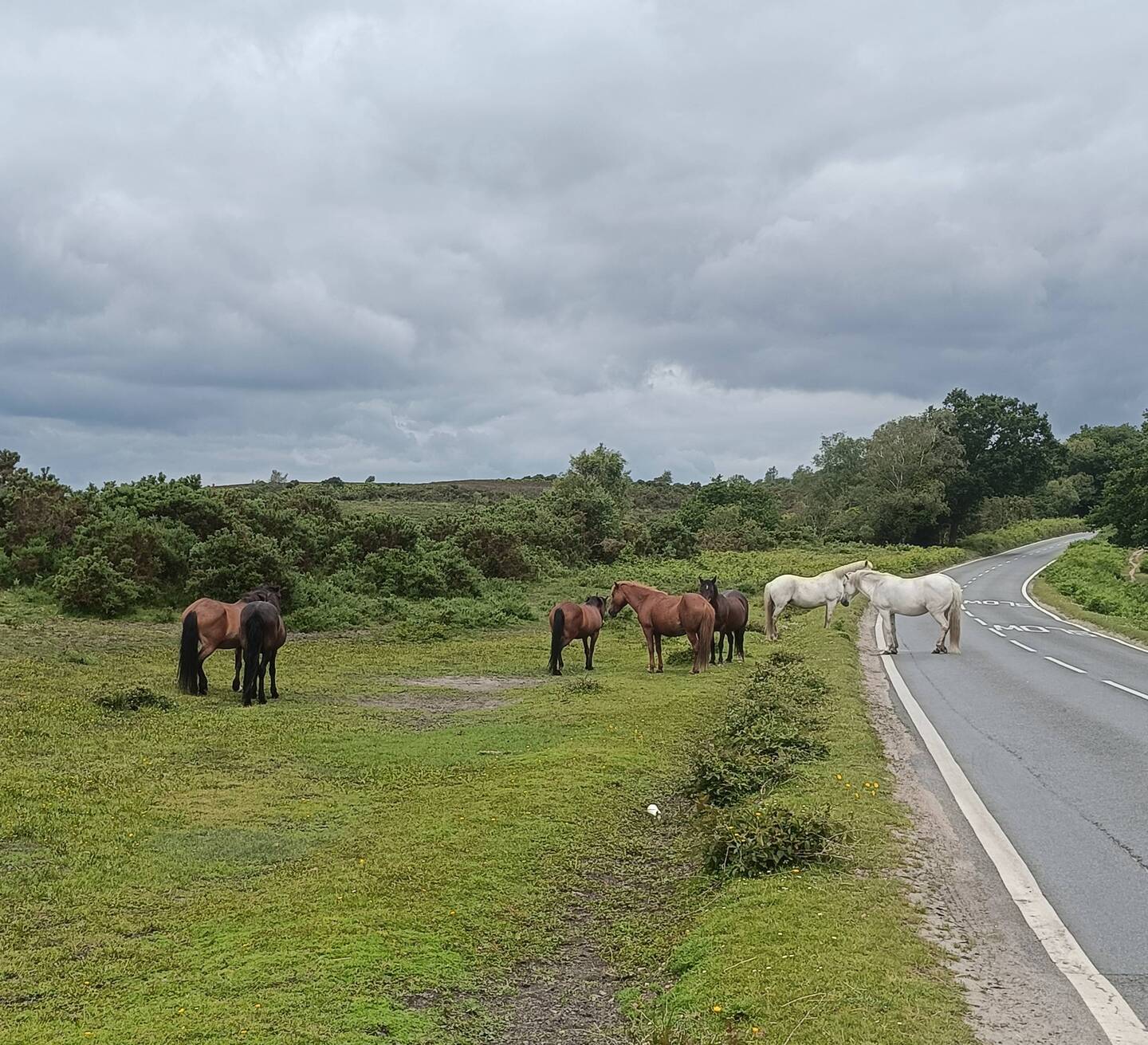 Some looked like they were sleeping