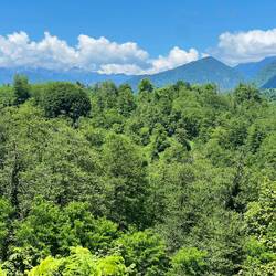 Its lush, humid and heavily forested