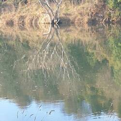 I just liked this reflection