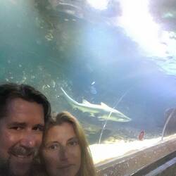 Kelly Tarlton’s Sea Life Aquarium