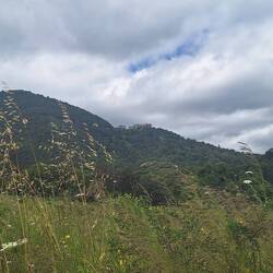 Von da ganz oben kam ich her