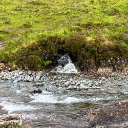 The water flows down from the mountain into the bog, and out into the stream