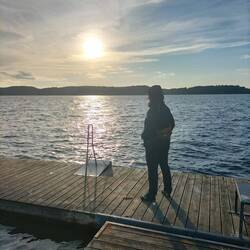 Schweinswale suchen 😊