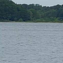 Achtsam hinschauen Freundis