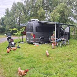 Unser Platz für die nächsten Tage🐓🐓