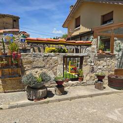 These colourful houses brighten up everyone's day!