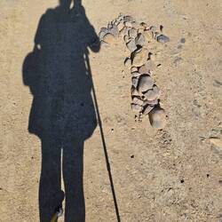 Love the nature art people make along the way!