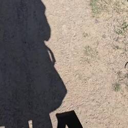 Butterfly walking with me!