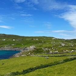 Aussicht vom "Lambs Head"