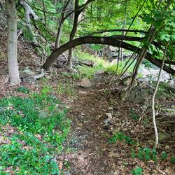 The rest are trail shots