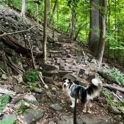 This was a killer trail. Our evening hike.