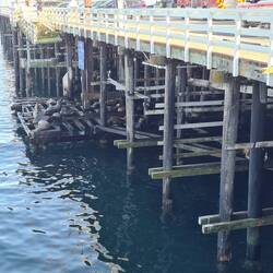 Santa Cruz Broadwalk