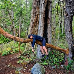 auf eine seltene spezies in canada sind wir getroffen!🦥