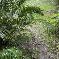 rain again ☔️ 😂