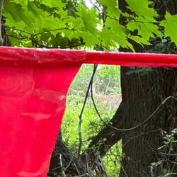 Bottom of trail to monument. Another deer