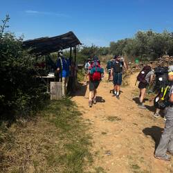 Camino vender on path olive oil from 350 y/old olive trees!