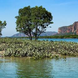 Porosus Creek Cruise — Kimberley, WA.