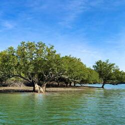 Porosus Creek Cruise — Kimberley, WA.