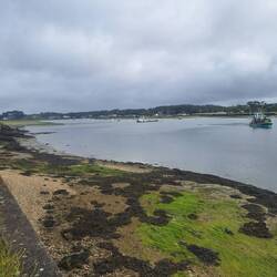 Trinité-sur-Mer bei Ebbe