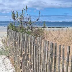 Carnac - toller Sandstrand