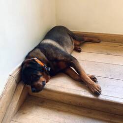 Marvin would relax all day long.