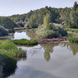 Rio Pisuerga.