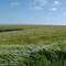Windy day on the Meseta.