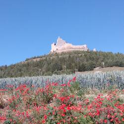 Hilltop fortress at Castrojeriz.