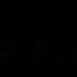 Froschgequake und Glühwürmchen 🐛🐸🫶🏼