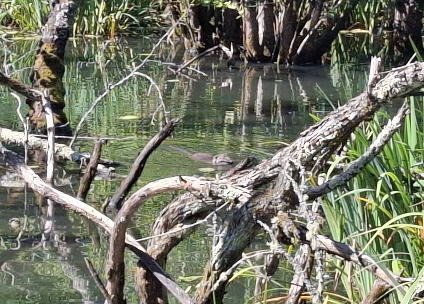 Naturschutzgebiete bei Latresne