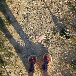 Nice way to 'staHEART' the day! 💚