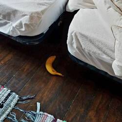 My missing banana ... found but never to be enjoyed by me! 😩