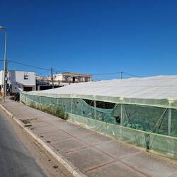 La Algaida